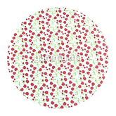 Feuille de Transfert Chocolat